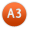 A3
