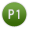 P1